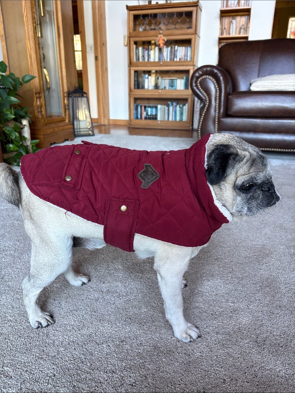 Quilted Dog Coat - Burgundy Sherpa-Lined Pet Jacket